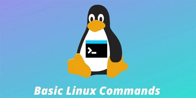Basic-Linux-Commands-nameplate Linux основные команды файловой системы